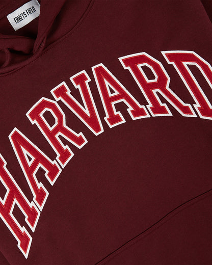 Harvard University Heavyweight Cotton Terry Pullover Hoodie