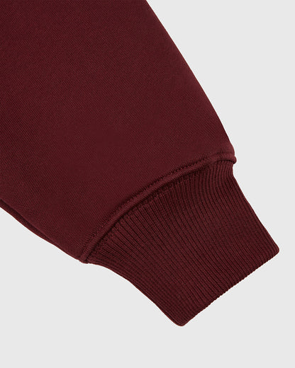 Harvard University Heavyweight Cotton Terry Pullover Hoodie
