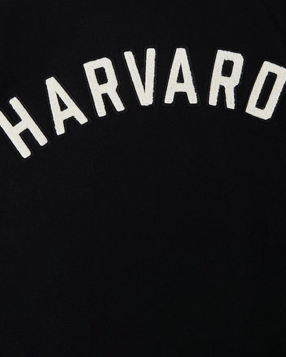 Harvard University Wool and Leather Varsity Jacket
