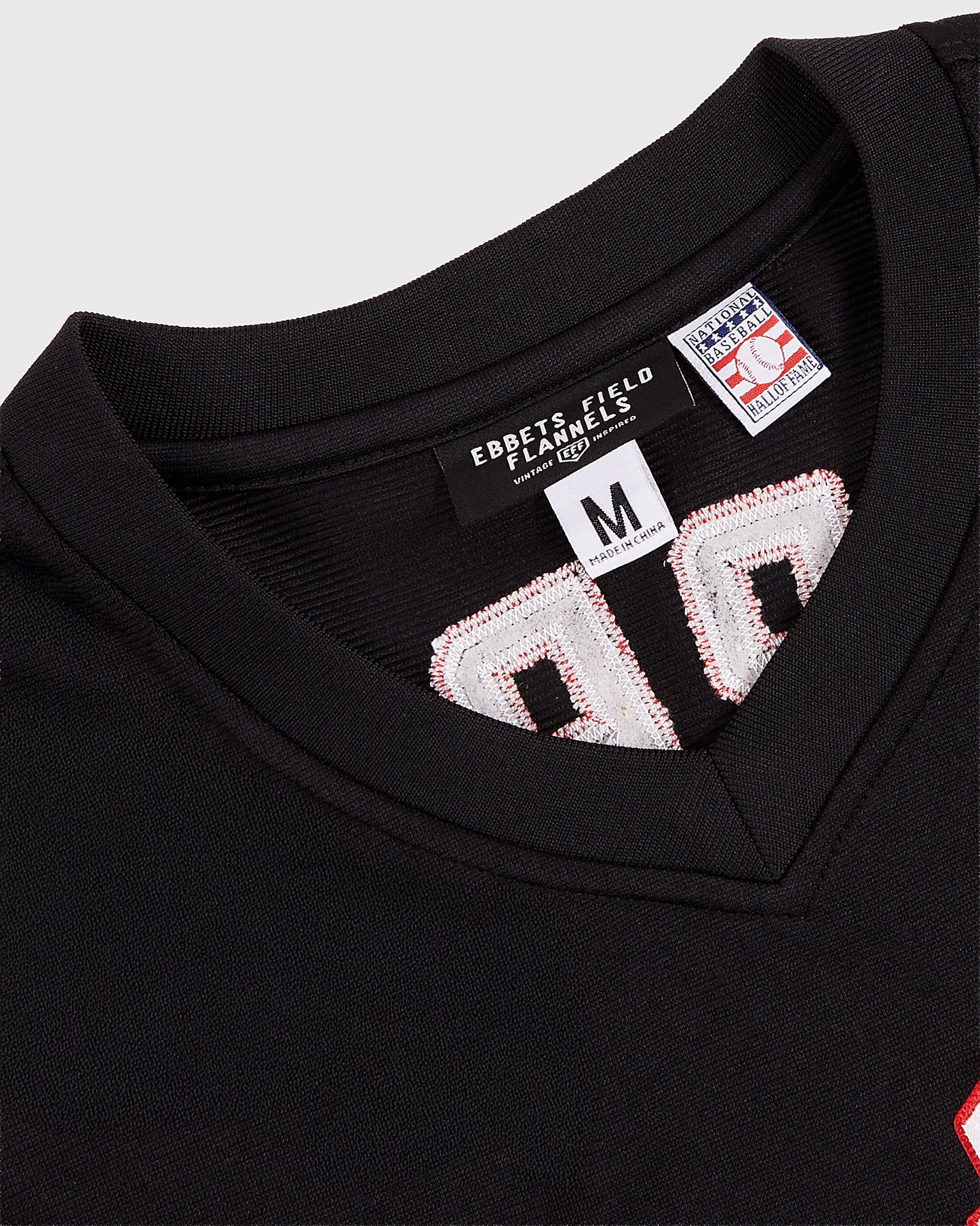 Vladimir Guerrero Harrisburg Senators V-Neck Jersey
