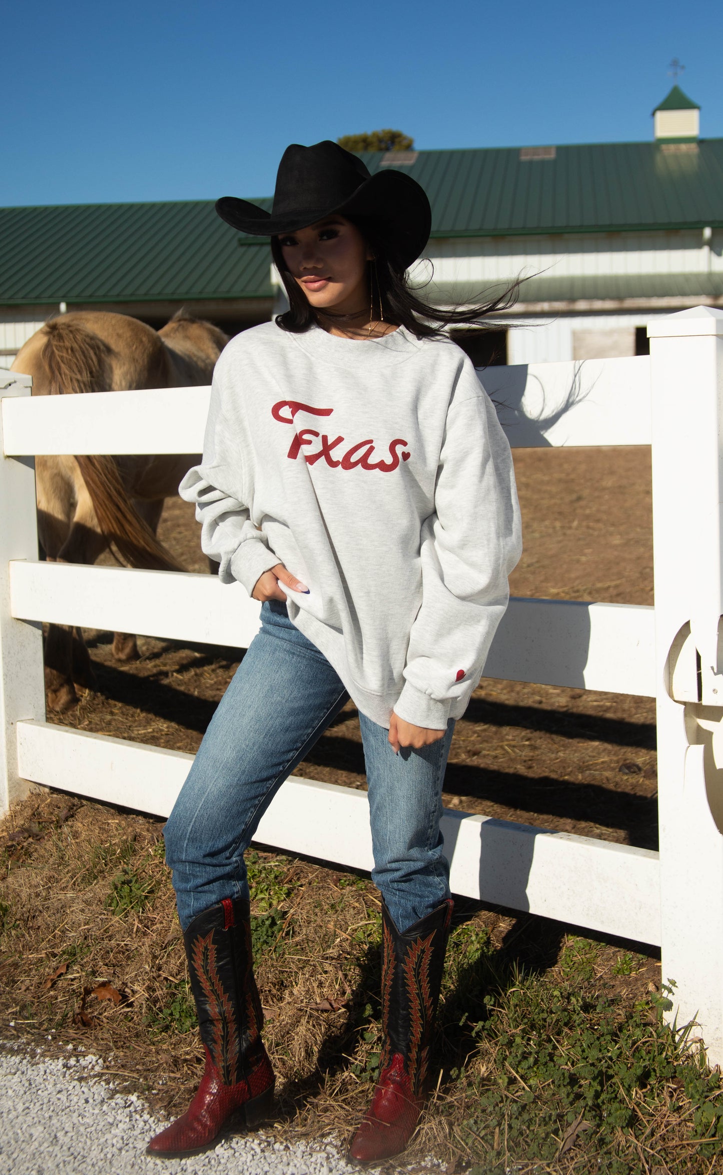 charlie southern: texas heart mockneck