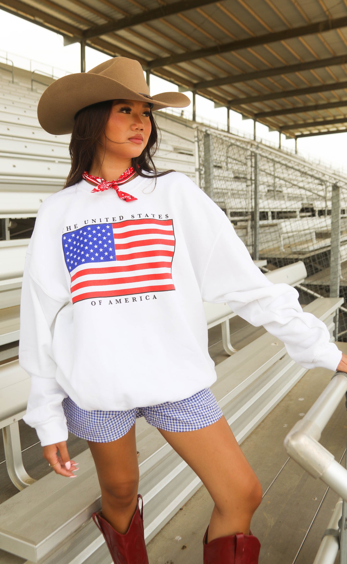 charlie southern: usa flag crew sweatshirt