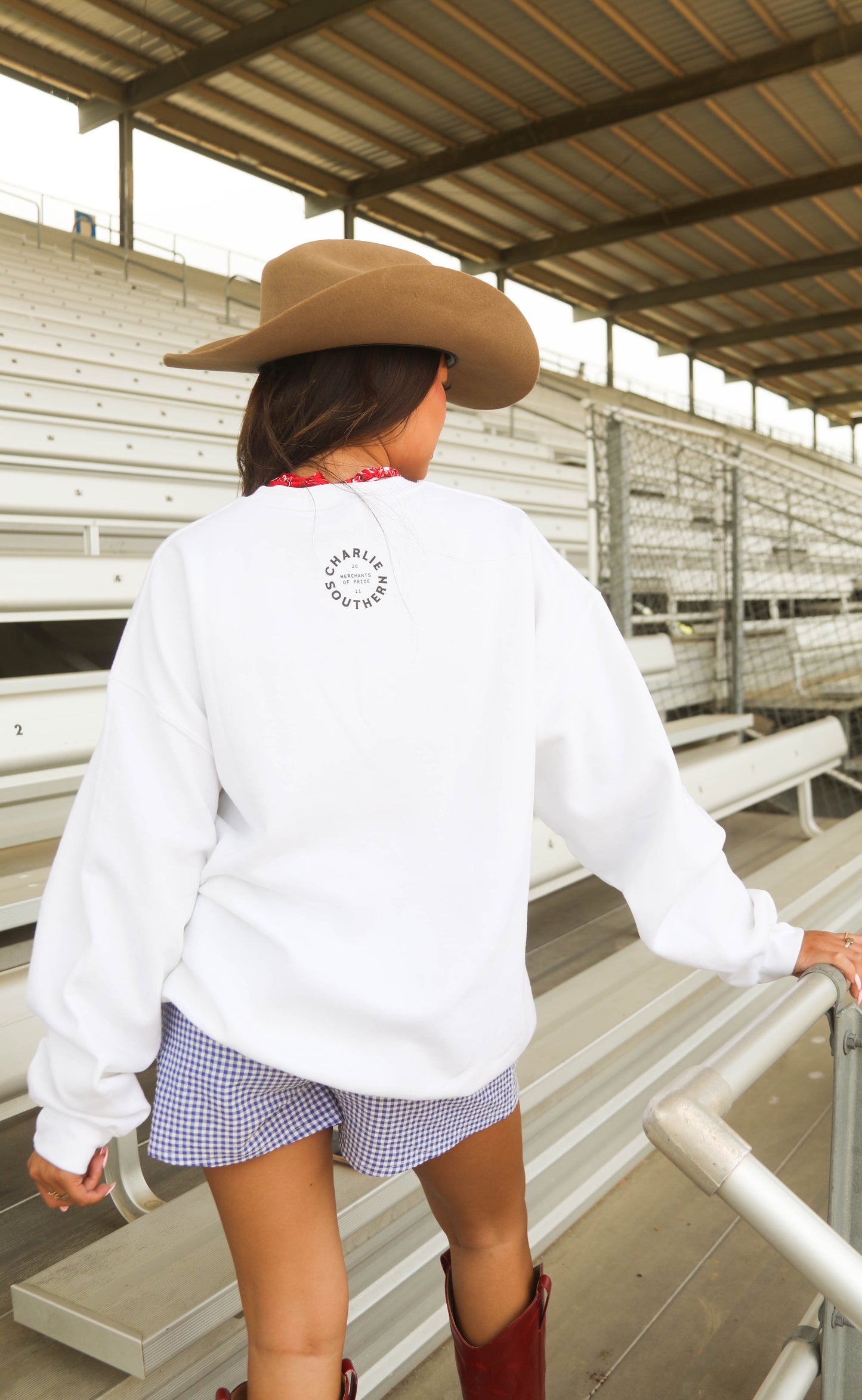 charlie southern: usa flag crew sweatshirt