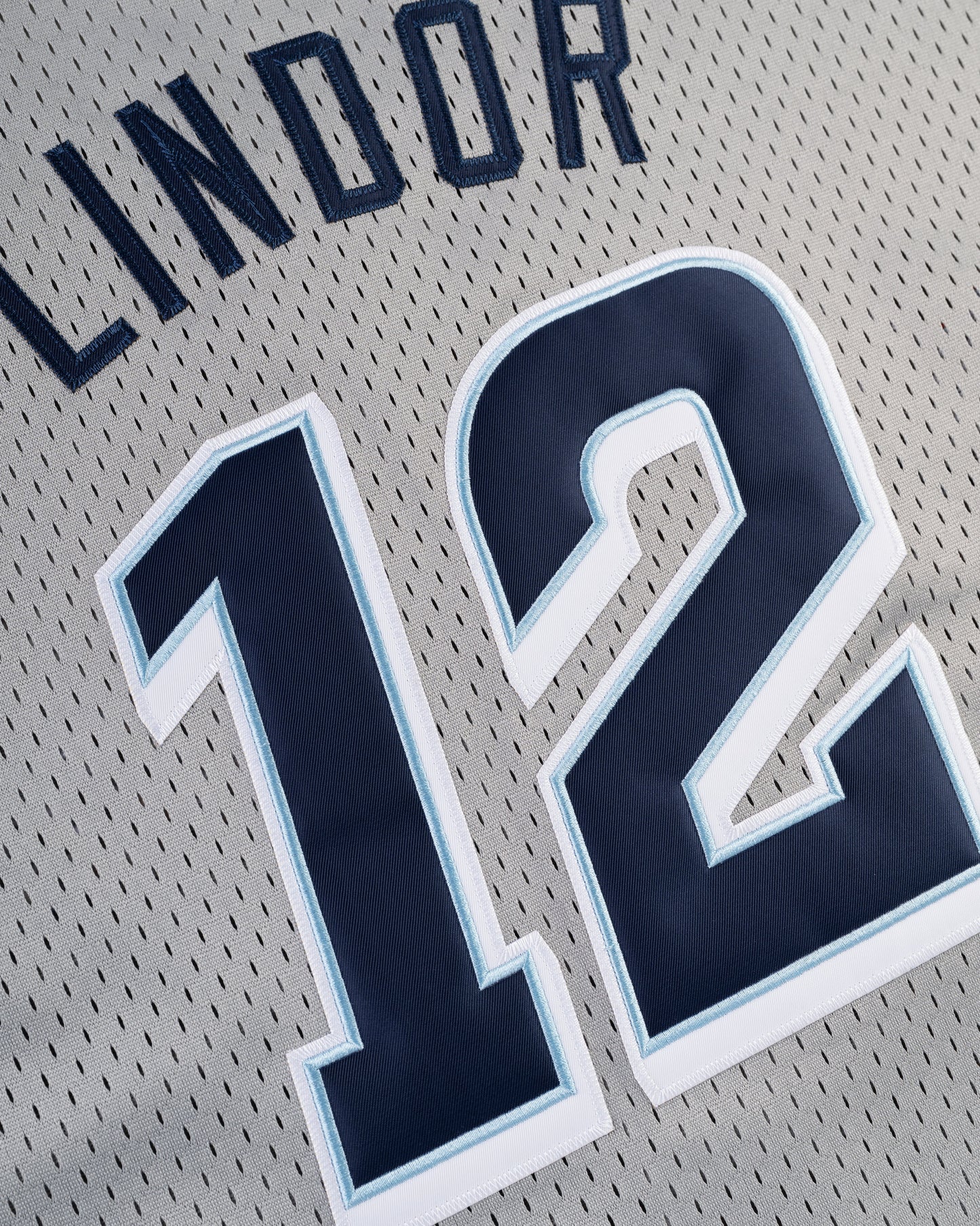 Francisco Lindor Columbus Clippers Mesh Button-Up Jersey