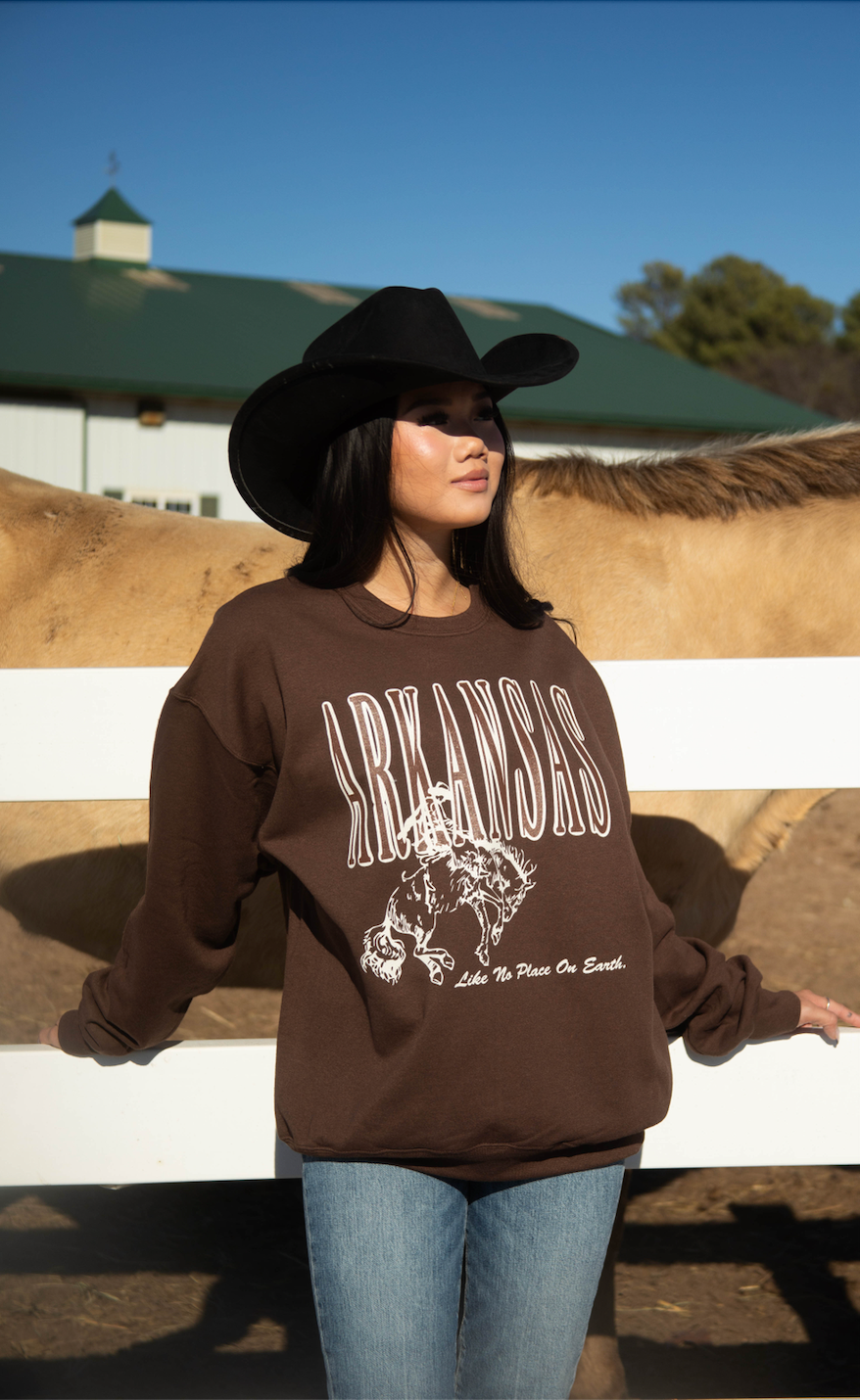 charlie southern: arkansas like no place on earth sweatshirt