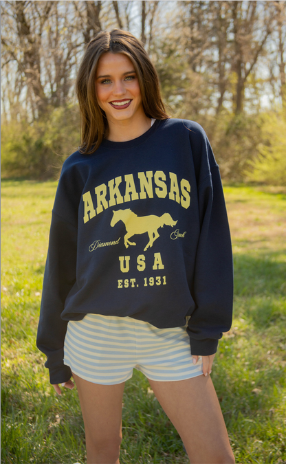 charlie southern: arkansas diamond ranch sweatshirt