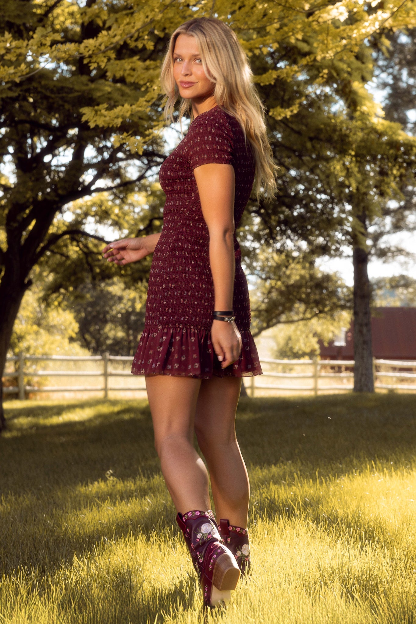 Elaine Dress in Mulberry Vine