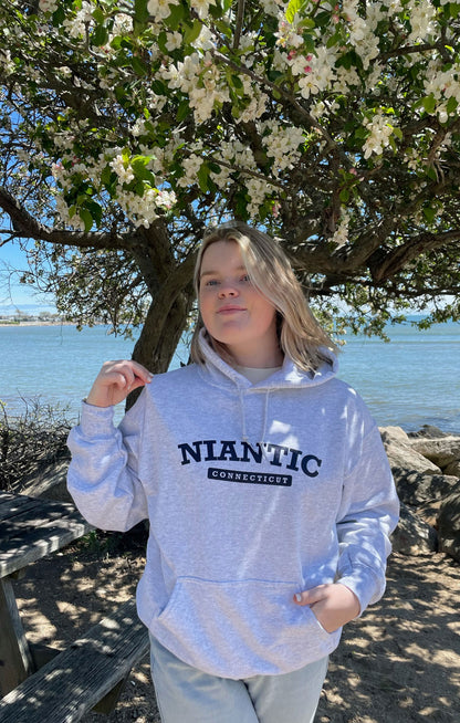 Niantic Hoodie