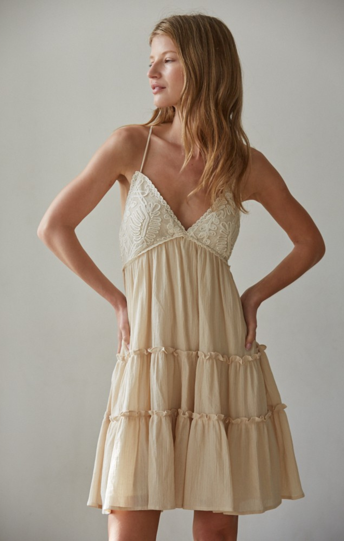 Nevada Mini Dress